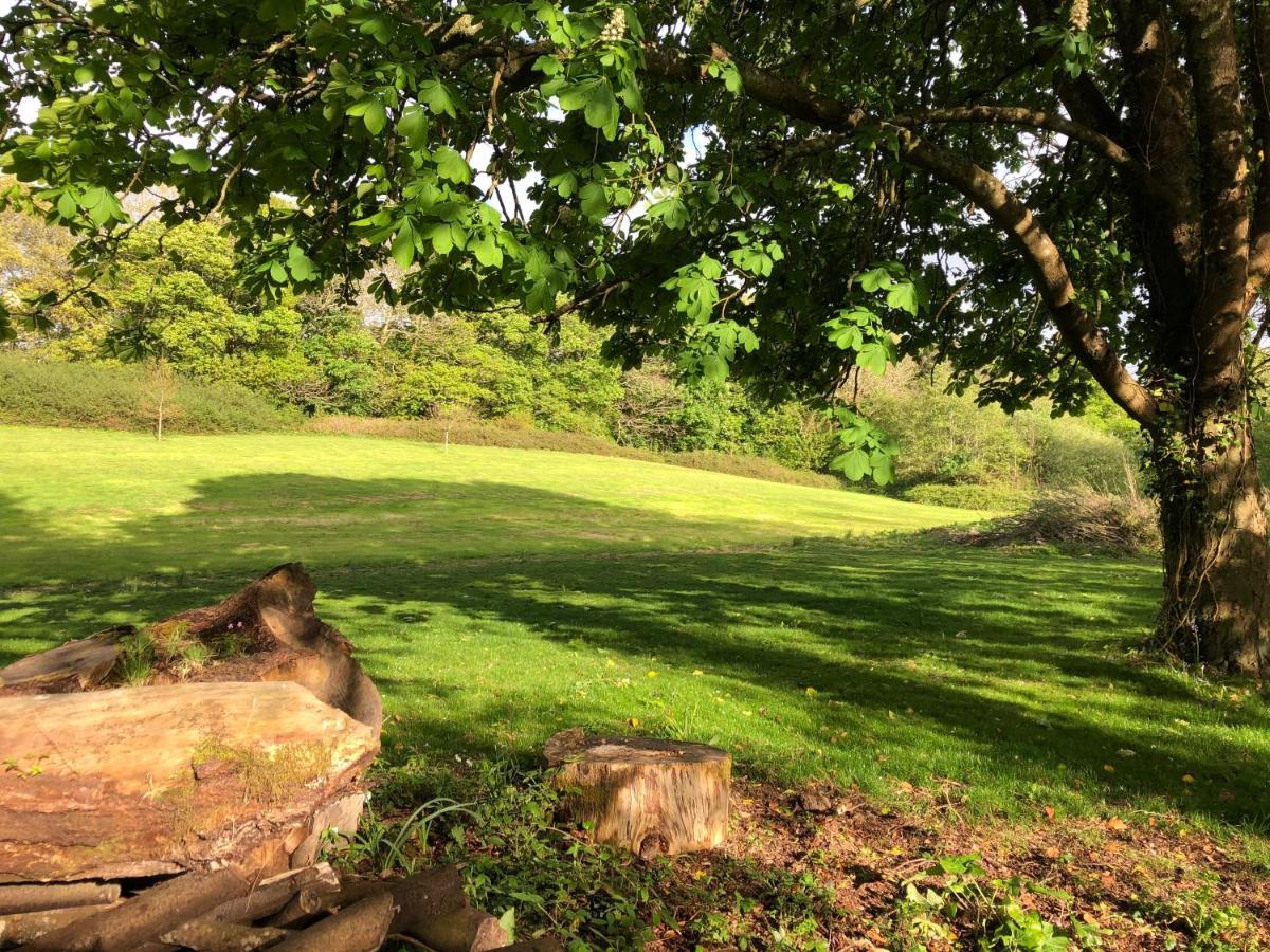 Red River Stables - Peaceful, Beautiful Grounds, Swimming Pool, Central Location For West Cornwall Camborne Exterior foto