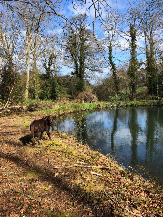 Red River Stables - Peaceful, Beautiful Grounds, Swimming Pool, Central Location For West Cornwall Camborne Exterior foto
